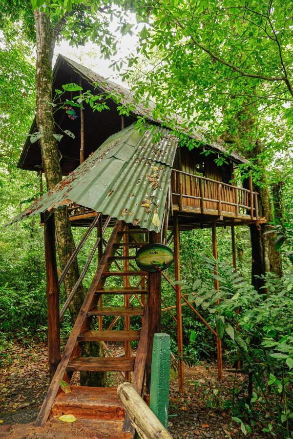 Tree Houses Hotel Costa Rica Florencia Exterior foto