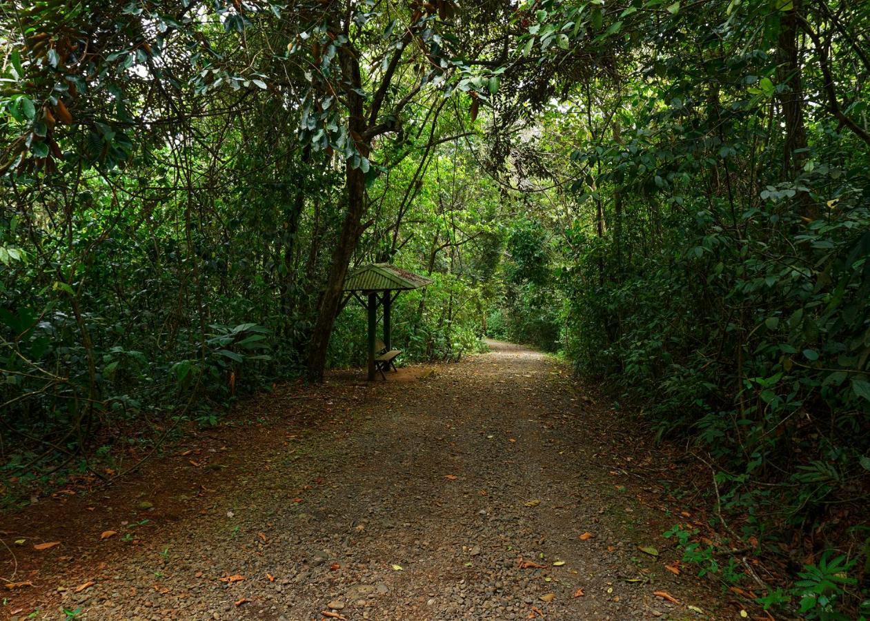 Tree Houses Hotel Costa Rica Florencia Exterior foto